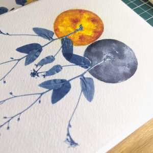Cyanotype & Aquarelle