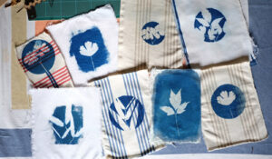 Cyanotype-12
