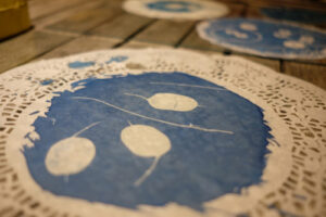 Cyanotype-19