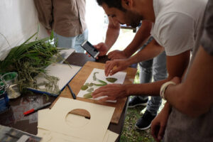 Cyanotype-2