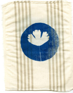 Cyanotype-7