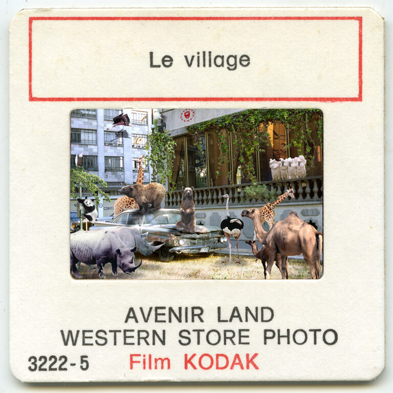 Jungle urbaine