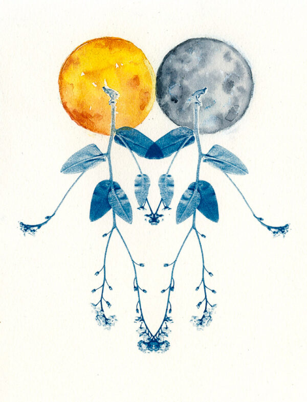Empreinte végétale cyanotype et aquarelle
