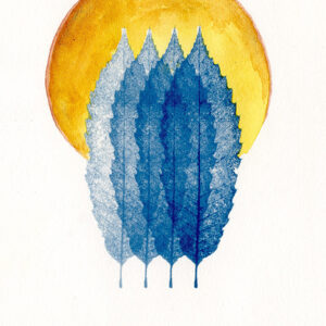 Empreinte végétale cyanotype et aquarelle