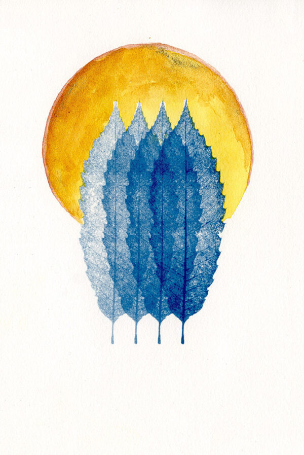 Empreinte végétale cyanotype et aquarelle