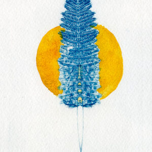 Empreinte végétale cyanotype et aquarelle