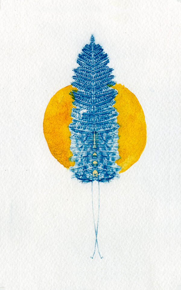 Empreinte végétale cyanotype et aquarelle