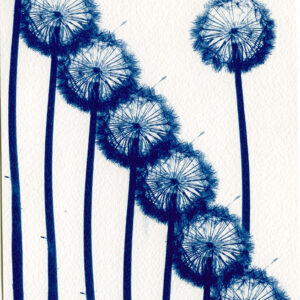 Empreinte végétale cyanotype et aquarelle