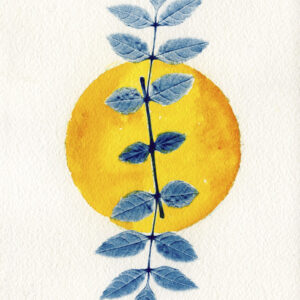 Empreinte végétale cyanotype et aquarelle