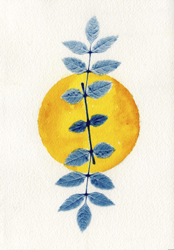 Empreinte végétale cyanotype et aquarelle