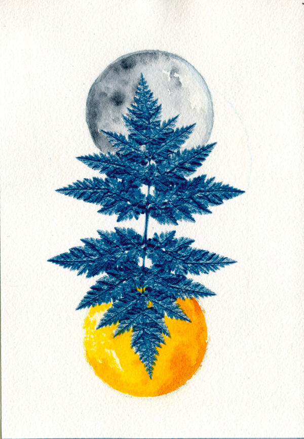 Empreinte végétale cyanotype et aquarelle