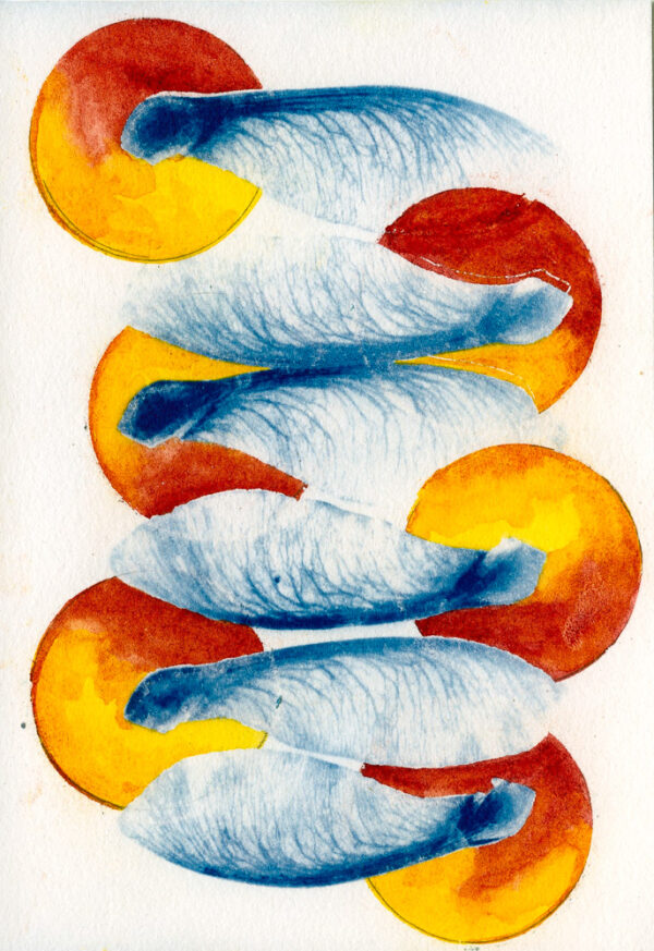 Empreinte végétale cyanotype et aquarelle