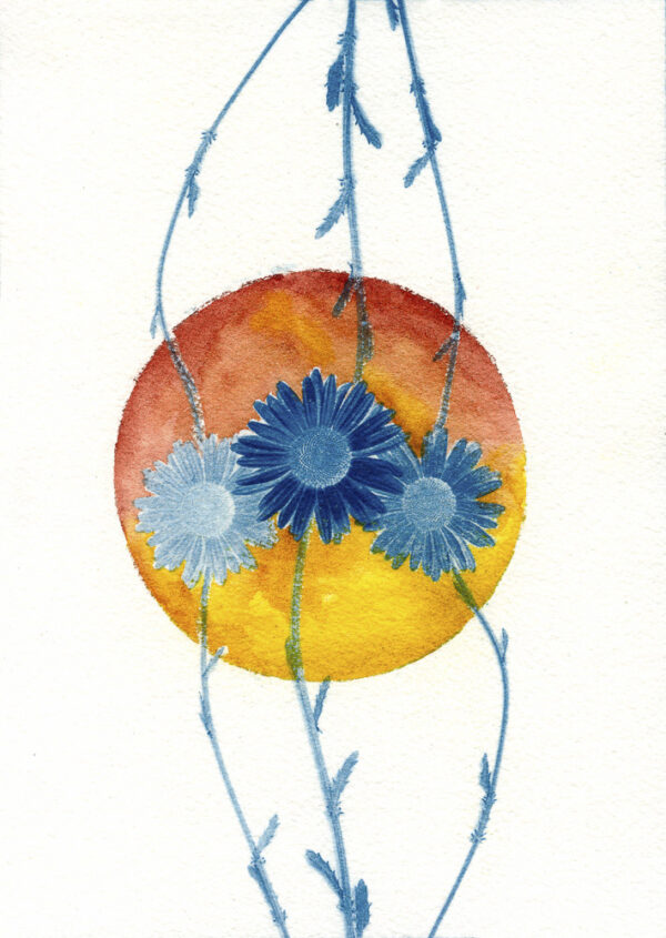 Empreinte végétale cyanotype et aquarelle