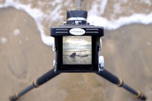 moyen format-thumbnail