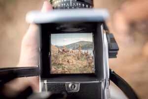 viewfinder-thumbnail